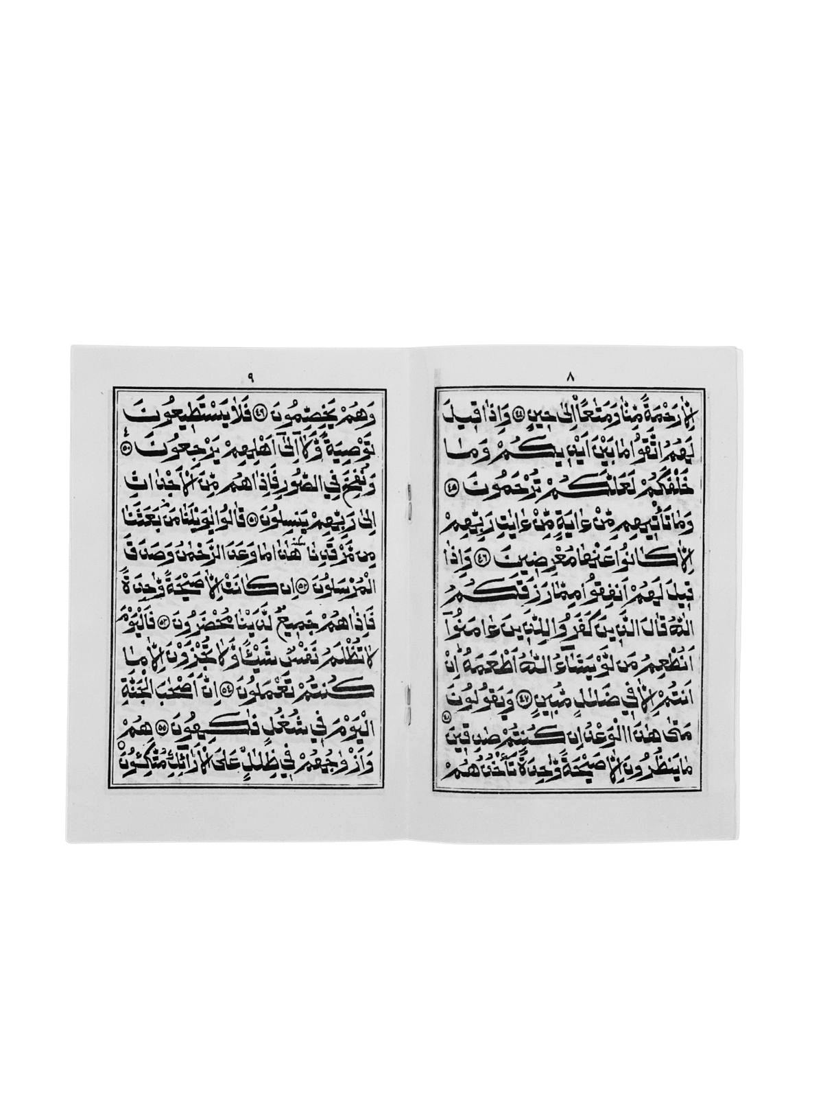 YASEEN SURAH ARABIC