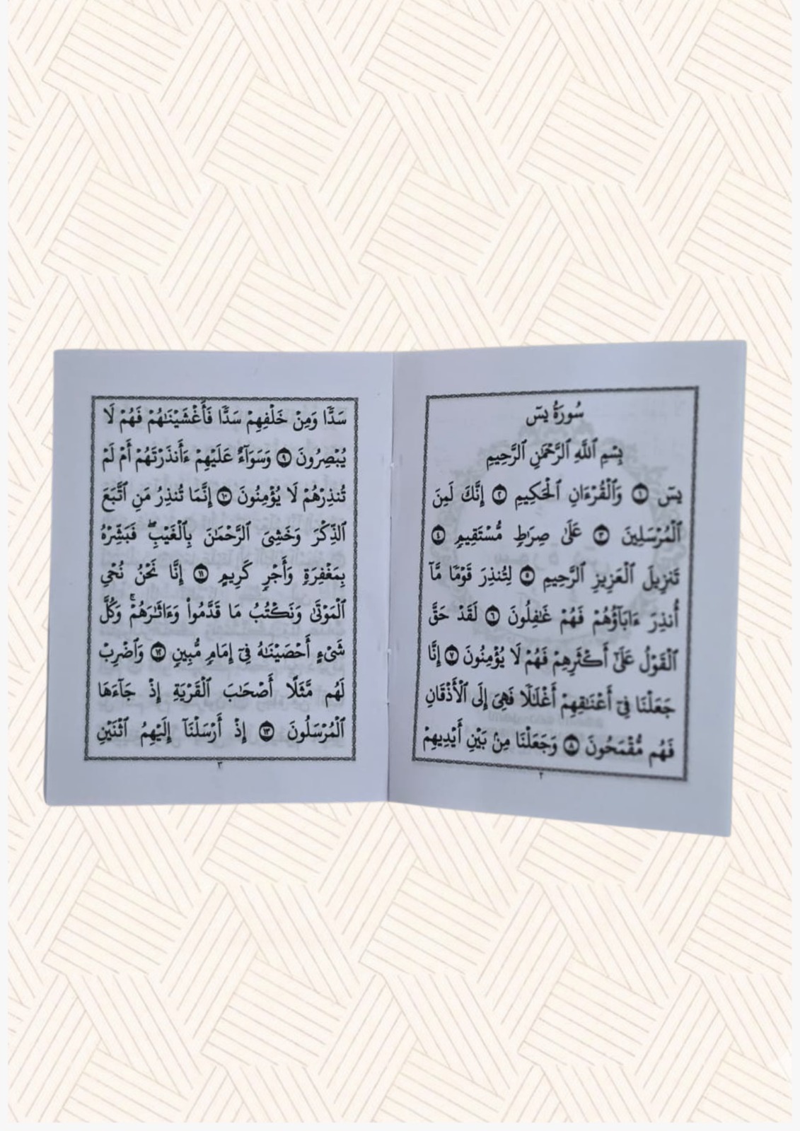 surah yaseen