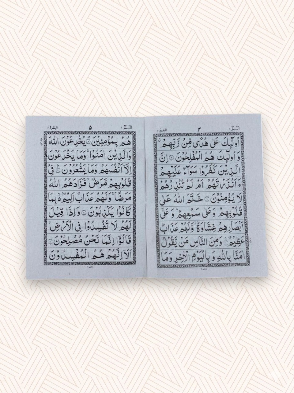 Quran with Jild Set